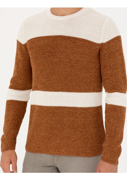 Erkek Bej Slim Fit Bisiklet Yaka Yün Karışımlı Triko Kazak 50278098-VR011