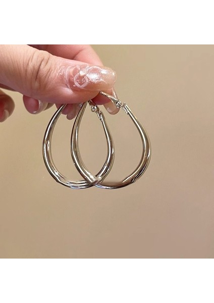 Gümüş Iğne Dairemetal Soğukmoda Çok Yönlü Basittasarım (Yurt Dışından) modelleri