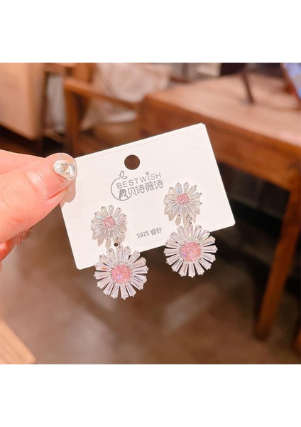 Yüksek Kaliteli Zarif Sınır Ötesi Pop Zirkonya Kıdemli Işık Duygusu Stil Süsler (Yurt Dışından)