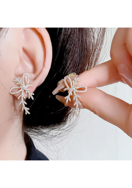 Yüksek Kaliteli Zarif Sınır Ötesi Pop Zirkonya Kıdemli Işık Duygusu Stil Süsler (Yurt Dışından)