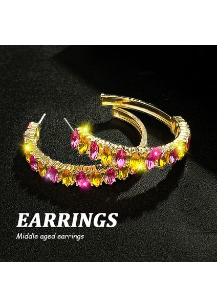 Ağır Hizmet Tipi Renkli Zirkon Tasarım Mizaç Çiçeküst Düzeytakı Duygusu (Yurt Dışından)