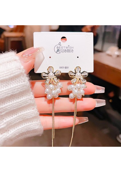 Zarif Mizaç Gösterisi Yüz Ince Uzun Zirkonyagümüş Takı Kıdemli Anlamda (Yurt Dışından)