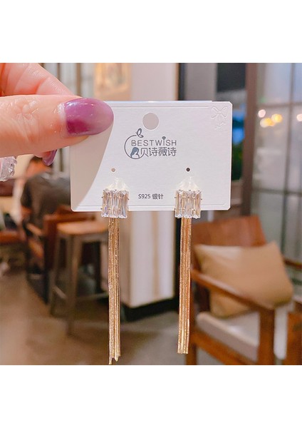 Zarif Mizaç Gösterisi Yüz Ince Uzun Zirkonyagümüş Takı Kıdemli Anlamda (Yurt Dışından)