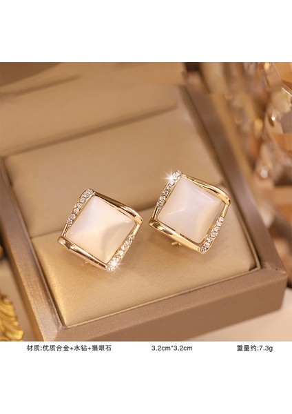 925 Gümüş Iğne Inci Küpe Fransız Retro Işık Lüks Niş Kıdemli Küpe Duygusu Kadın Kore Mizaç Küpe (Yurt Dışından)