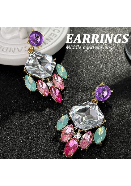 Ağır Iş Renkli Zirkon Küpe Niş Tasarım Mizaç Çiçek Küpe Hafif Lüks Yüksek Küpe Takı Duygusu (Yurt Dışından)