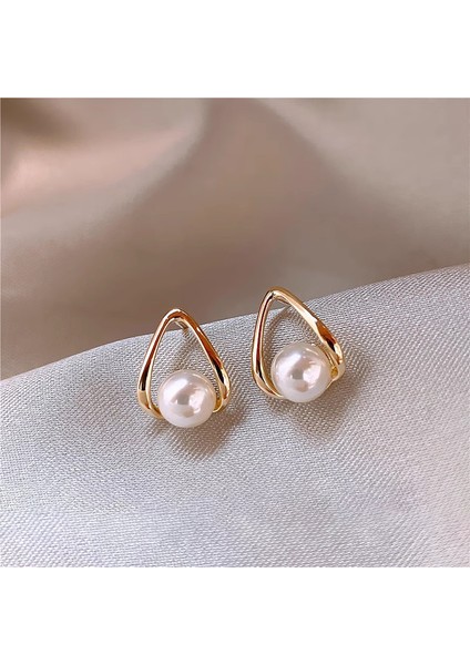 Gümüş Iğne Kıdemli Zirkonya Inci Küpe Duygusu Fransız Niş Retro Işık Lüks Küpe Küpe Takı Kadın (Yurt Dışından)