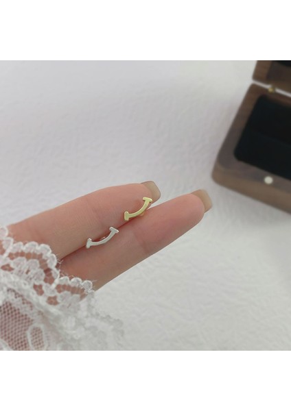 925 Gümüş Küpeler Kız Öğrenciler Niş Minimalist Tasarım Kıdemli Küpeler Yeni Gelgit Ins Küpeleri (Yurt Dışından)