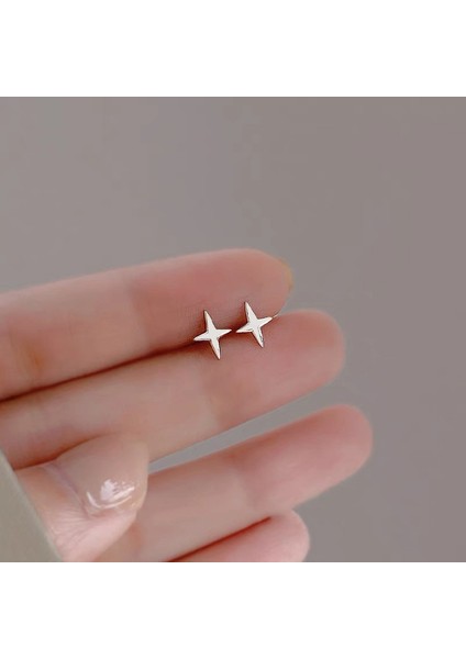 925 Gümüş Küpeler Kız Öğrenciler Niş Minimalist Tasarım Kıdemli Küpeler Yeni Gelgit Ins Küpeleri (Yurt Dışından)