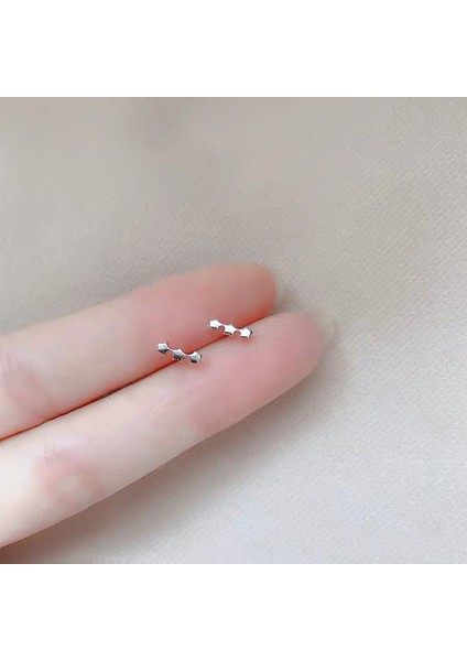 925 Gümüş Küpeler Kız Öğrenciler Niş Minimalist Tasarım Kıdemli Küpeler Yeni Gelgit Ins Küpeleri (Yurt Dışından)