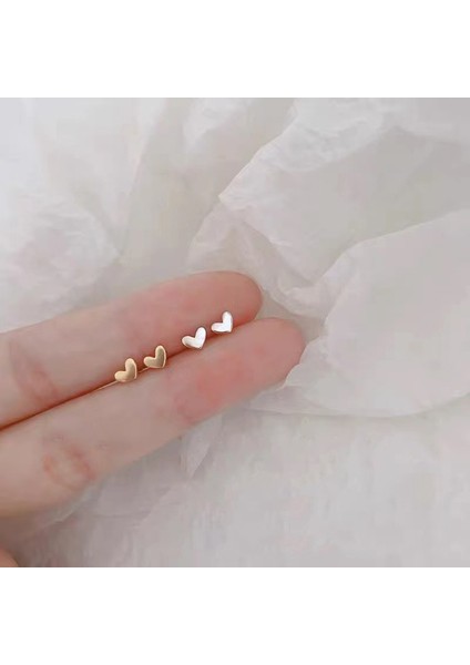 925 Gümüş Küpeler Kız Öğrenciler Niş Minimalist Tasarım Kıdemli Küpeler Yeni Gelgit Ins Küpeleri (Yurt Dışından)