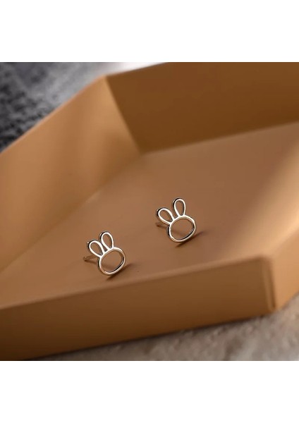 925 Gümüş Küpeler Kız Öğrenciler Niş Minimalist Tasarım Kıdemli Küpeler Yeni Gelgit Ins Küpeleri (Yurt Dışından)