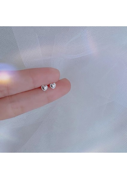 925 Gümüş Küpeler Kız Öğrenciler Niş Minimalist Tasarım Kıdemli Küpeler Yeni Gelgit Ins Küpeleri (Yurt Dışından)