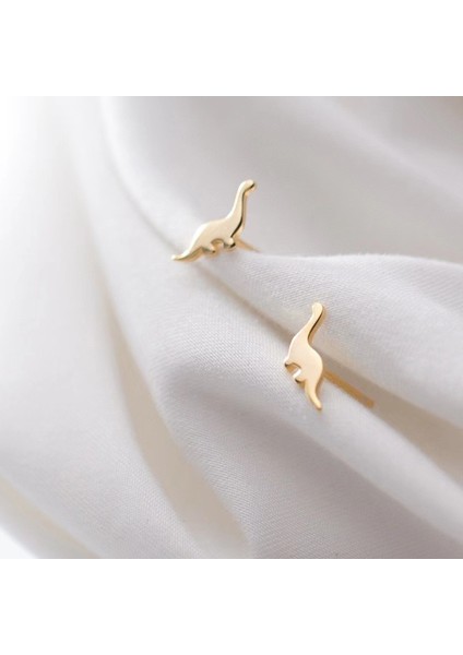 925 Gümüş Küpeler Kız Öğrenciler Niş Minimalist Tasarım Kıdemli Küpeler Yeni Gelgit Ins Küpeleri (Yurt Dışından)