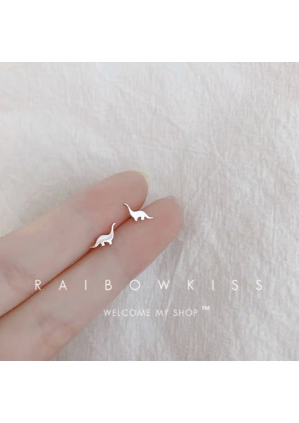 925 Gümüş Küpeler Kız Öğrenciler Niş Minimalist Tasarım Kıdemli Küpeler Yeni Gelgit Ins Küpeleri (Yurt Dışından)