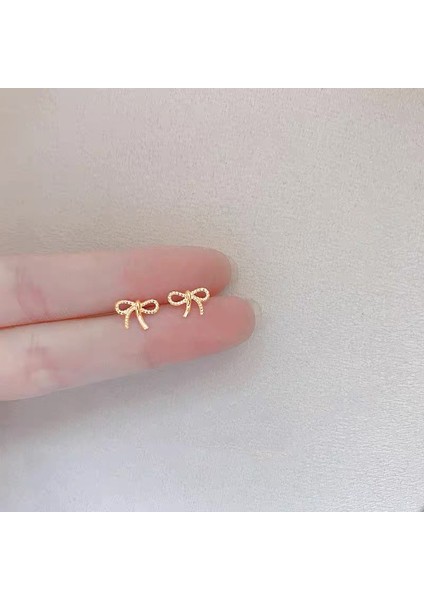 925 Gümüş Küpeler Kız Öğrenciler Niş Minimalist Tasarım Kıdemli Küpeler Yeni Gelgit Ins Küpeleri (Yurt Dışından)