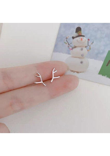 925 Gümüş Küpeler Kız Öğrenciler Niş Minimalist Tasarım Kıdemli Küpeler Yeni Gelgit Ins Küpeleri (Yurt Dışından)