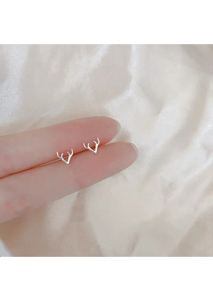 925 Gümüş Küpeler Kız Öğrenciler Niş Minimalist Tasarım Kıdemli Küpeler Yeni Gelgit Ins Küpeleri (Yurt Dışından)