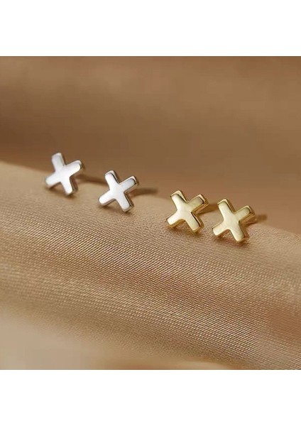 925 Gümüş Küpeler Kız Öğrenciler Niş Minimalist Tasarım Kıdemli Küpeler Yeni Gelgit Ins Küpeleri (Yurt Dışından)