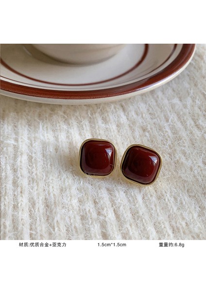 925 Gümüş Iğne Inci Küpe Fransız Retro Işık Lüks Niş Kıdemli Küpe Duygusu Kadın Kore Mizaç Küpe (Yurt Dışından)