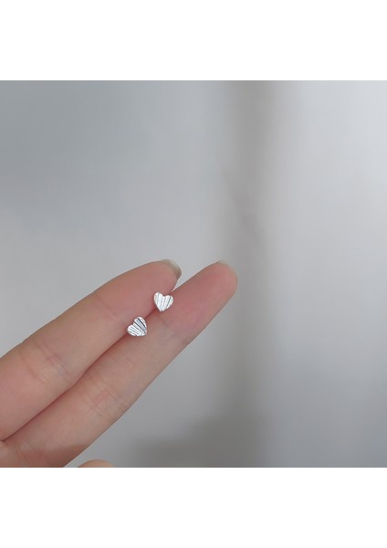 925 Gümüş Küpeler Kız Öğrenciler Niş Minimalist Tasarım Kıdemli Küpeler Yeni Gelgit Ins Küpeleri (Yurt Dışından)