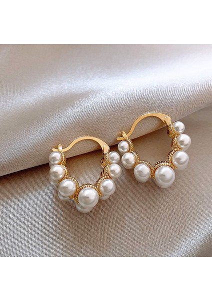 Gümüş Iğne Kıdemli Zirkonya Inci Küpe Duygusu Fransız Niş Retro Işık Lüks Küpe Küpe Takı Kadın (Yurt Dışından)