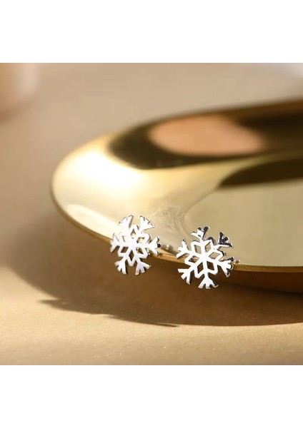 925 Gümüş Küpeler Kız Öğrenciler Niş Minimalist Tasarım Kıdemli Küpeler Yeni Gelgit Ins Küpeleri (Yurt Dışından)