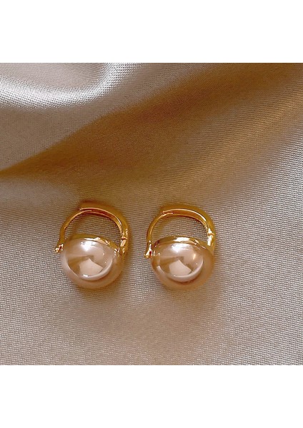 Gümüş Iğne Kıdemli Zirkonya Inci Küpe Duygusu Fransız Niş Retro Işık Lüks Küpe Küpe Takı Kadın (Yurt Dışından)