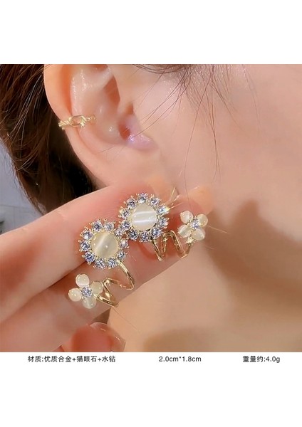 925 Gümüş Iğne Inci Küpe Fransız Retro Işık Lüks Niş Kıdemli Küpe Duygusu Kadın Kore Mizaç Küpe (Yurt Dışından)