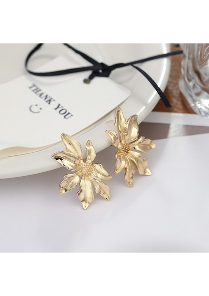 Yeni Küpeler Metal Atılı Kıdemli Tasarım Küpeler Moda Mizaç Retro Kişilik Küpeleri Bırakır (Yurt Dışından)