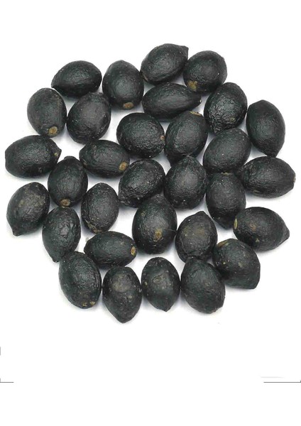 Defne Tohumu 400G modelleri