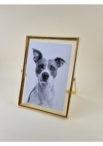 Gold Metal Çerçeve 13X18 cm - Rotaly & Mimoza