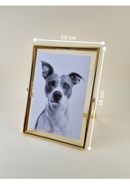 Gold Metal Çerçeve 13X18 cm - Rotaly & Mimoza fiyatları