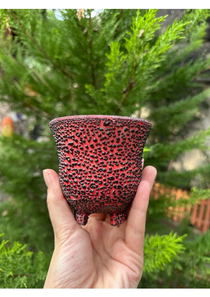 Sır Kaplı Estetik Özel Seramik Saksı