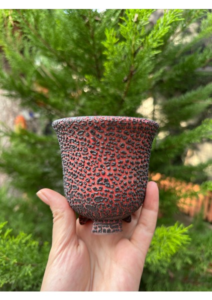 Sır Kaplı Estetik Özel Seramik Saksı