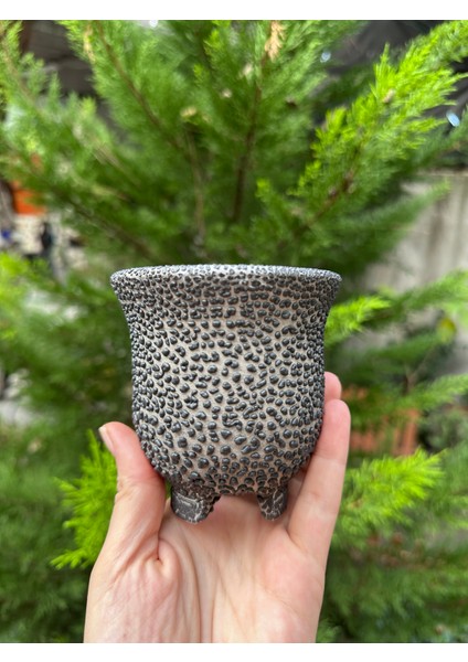 Sır Kaplı Estetik Özel Seramik Saksı