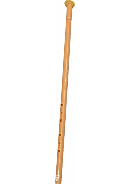 Plastik Ney - Do Karar C