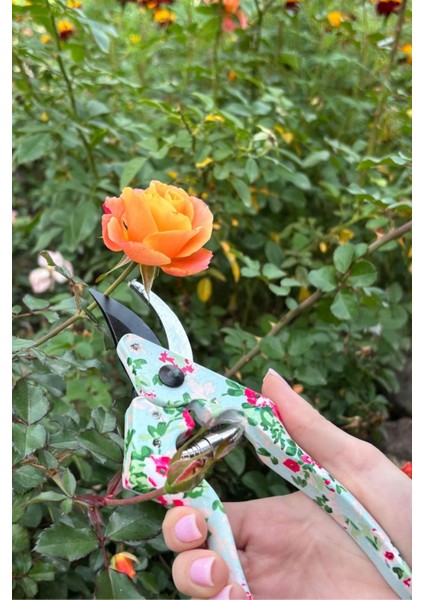 3lü Pastel Çiçek Desenli Bahçe Aletleri Seti, Kürek, Gül Çiçek Budama Makası, Tırmık fiyatları