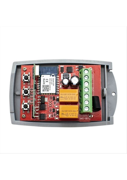 Wifi Akıllı Kapı Uzaktan Kumanda Anahtarı Evrensel 433MHZ Garaj Kapısı Alıcı 2ch Röle Modülü Çalışma 7-32V (Yurt Dışından)