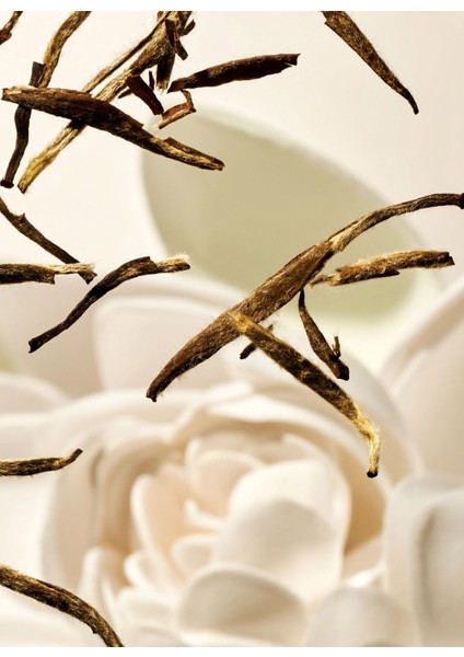 220 ml Vücut Nemlendirici modelleri