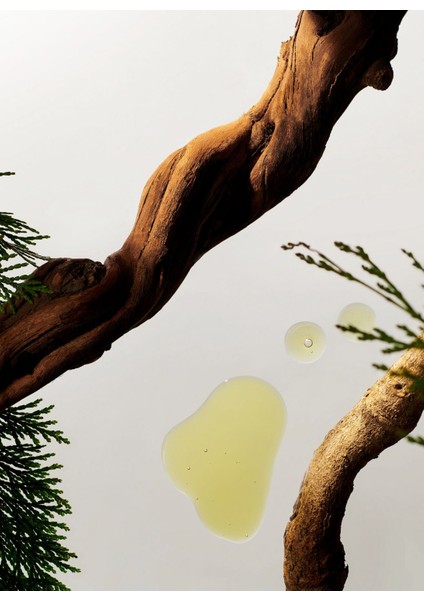 Cilt Bakım Seti modelleri