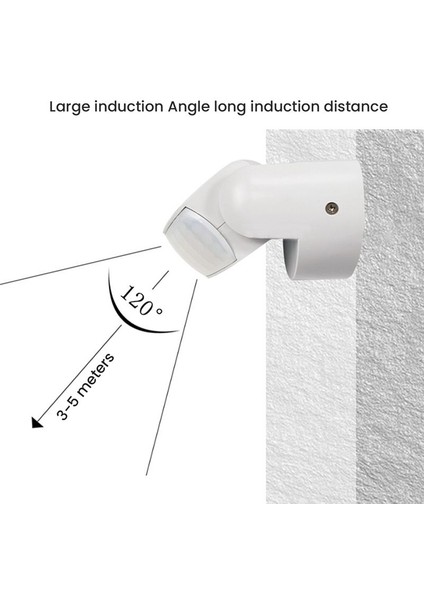 Su Geçirmez Çift Kızılötesi Prob Hareket Sensörü IP65 Ac 220V-240V Pır Hareket Dedektörü Otomatik 120 ° Siyah (Yurt Dışından) modelleri