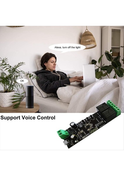 2 Kanal Wifi Anlık Inching Röle Kendi Kendine Kilitleme Anahtarı Modülü Akıllı Yaşam/tuya Uygulama Kontrolü Wifi Röle Modülü (Yurt Dışından) fırsatları