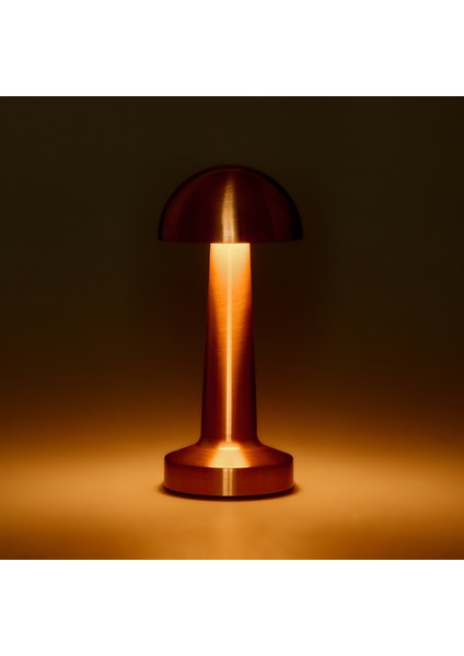 Lotus Masa Lambası - Rose fiyatları