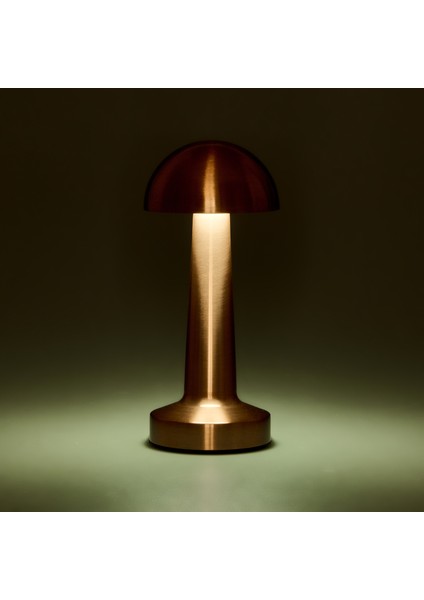 Lotus Masa Lambası - Rose modelleri