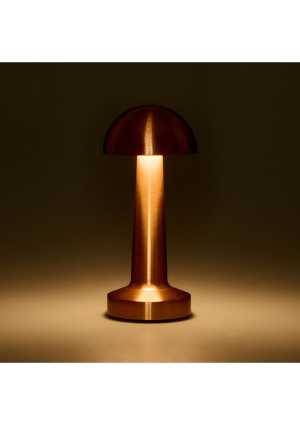 Lotus Masa Lambası - Rose fırsatları