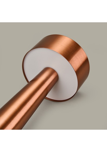 Dalya Masa Lambası - Rose