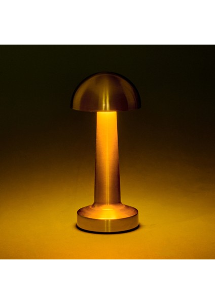 Lotus Masa Lambası - Gold modelleri