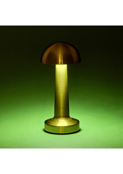 Lotus Masa Lambası - Gold fırsatları