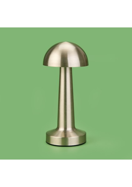 Lotus Masa Lambası - Krom