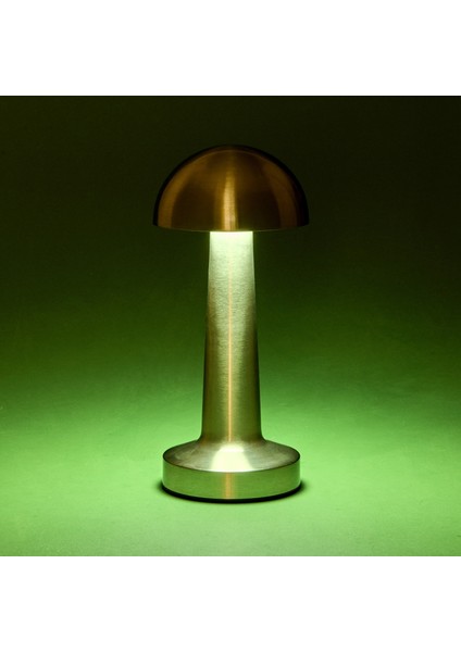 Lotus Masa Lambası - Krom modelleri